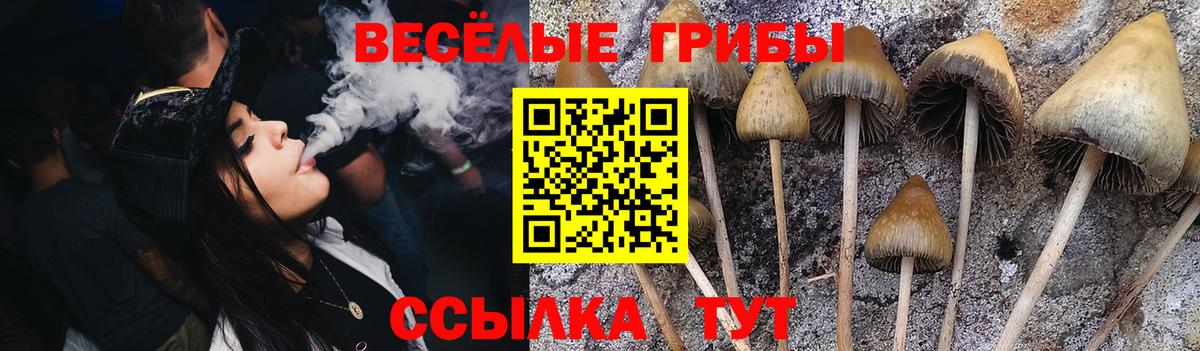 Галлюциногенные грибы MAGIC MUSHROOMS Шахты